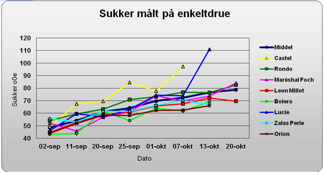enkeltdruer