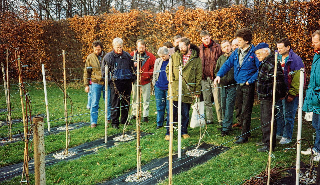 vingaardsvandring-med-peter-lorenzen-foraaret-1993