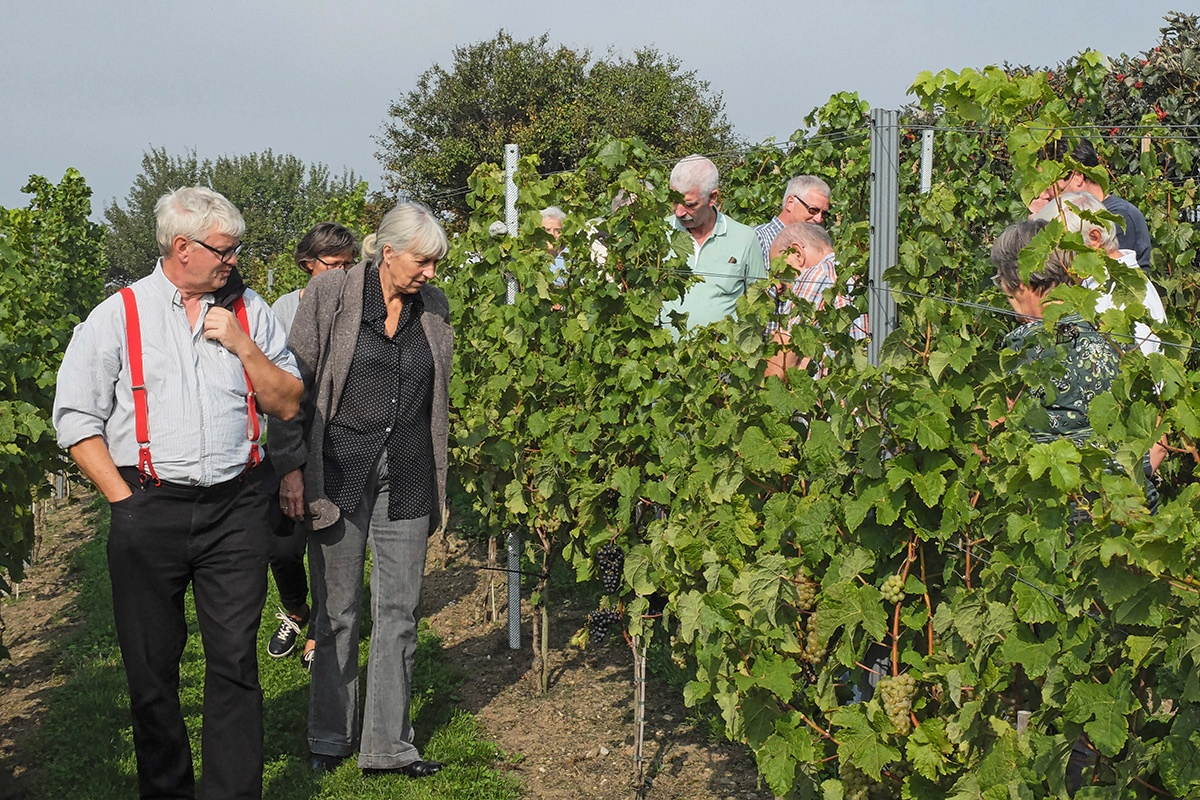 Markvandring ved Dansk Vindag 2014 i Røjle, Langeland.