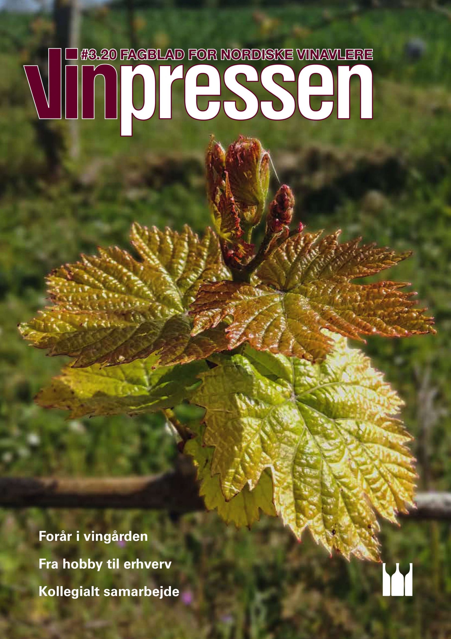 Vinpressen 2020 3 Forside