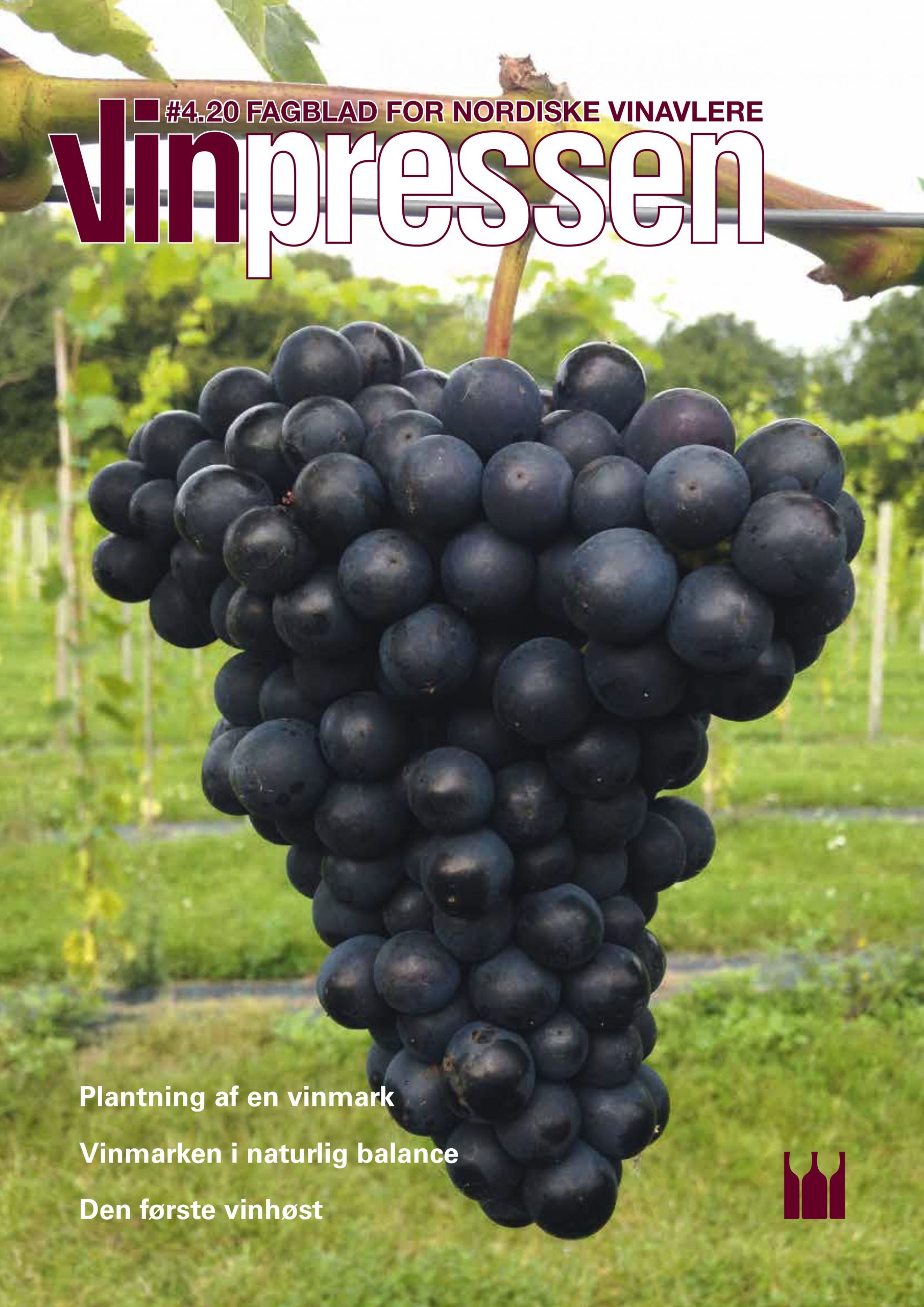Vinpressen 2020 4 Forside