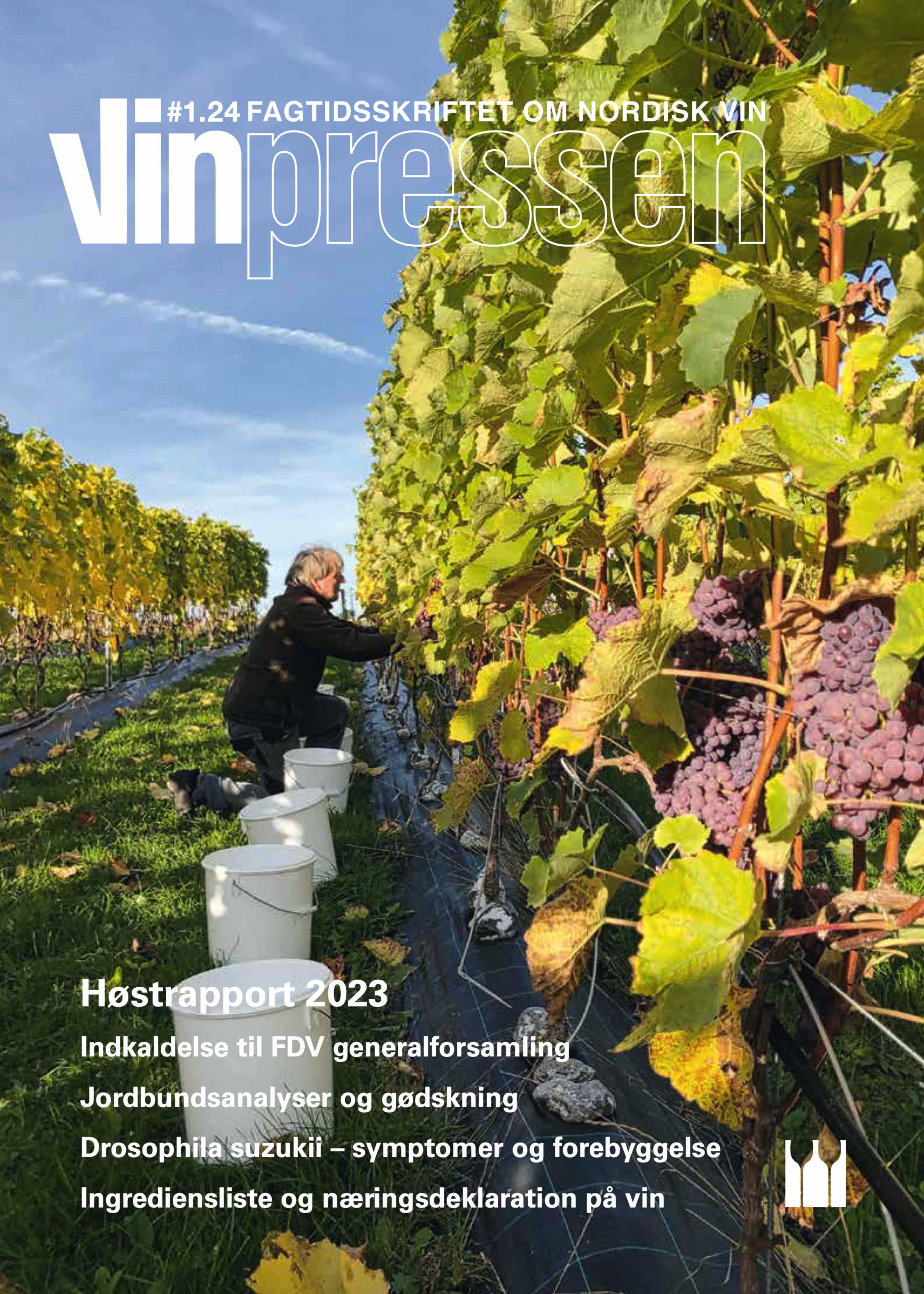 Vinpressen 2024 1 Forside