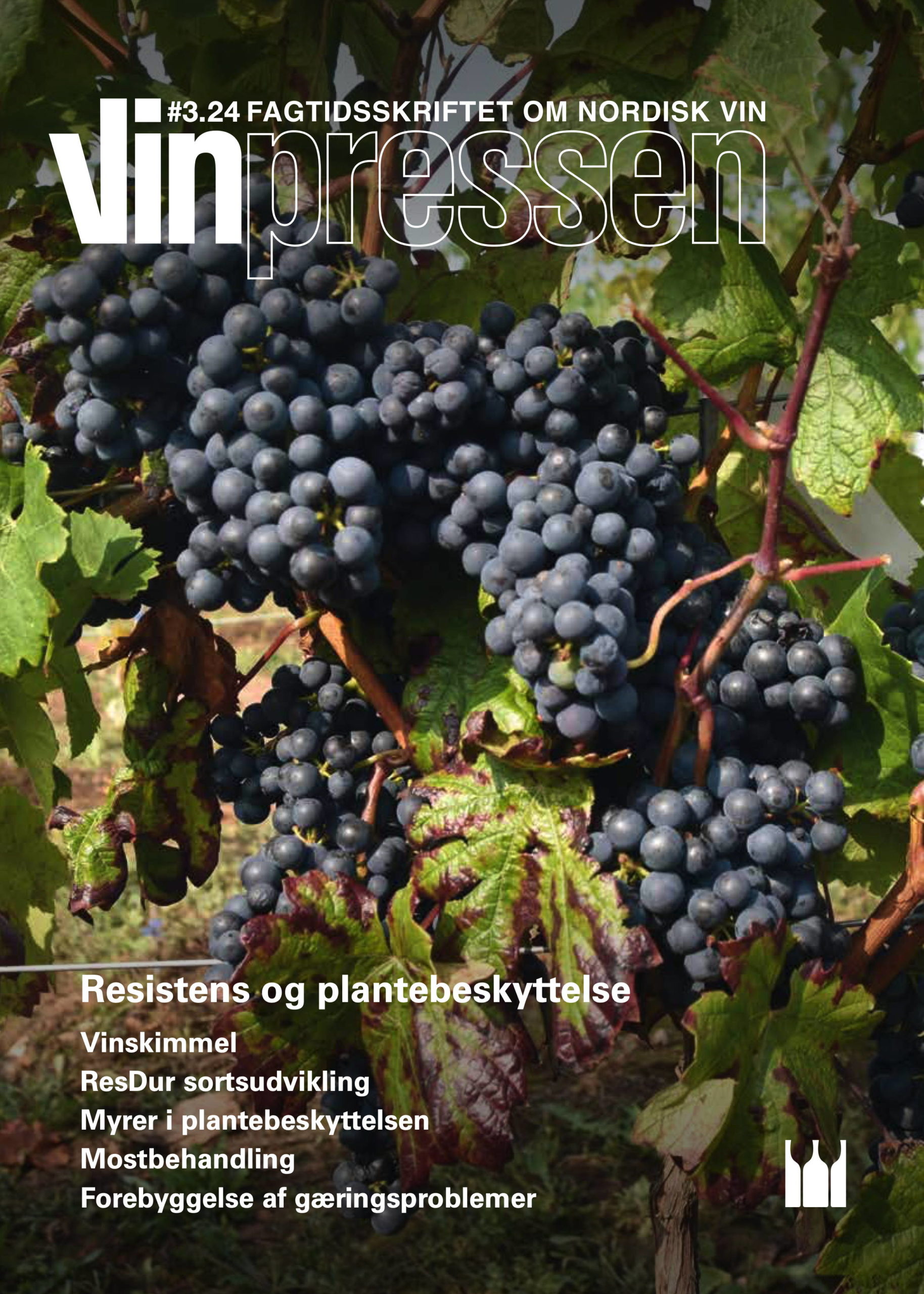 Vinpressen 2024 3 Forsiden